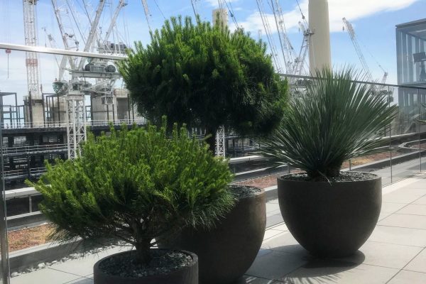 Battersea Power Station Penthouse Apartments