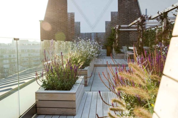 allsop place garden - garden care