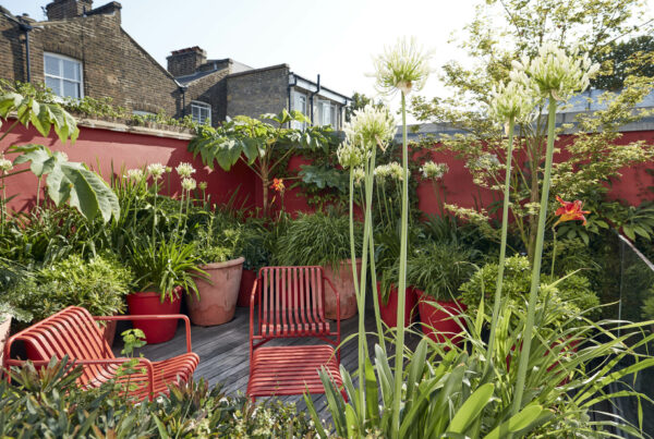 Islington Garden Design